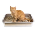 thumbnail image 1 of One Paw, Stainless Steel Cat Litter Box, Large, 19.5” x 13.5” x 4", 17L, for Cats, 1 of 7