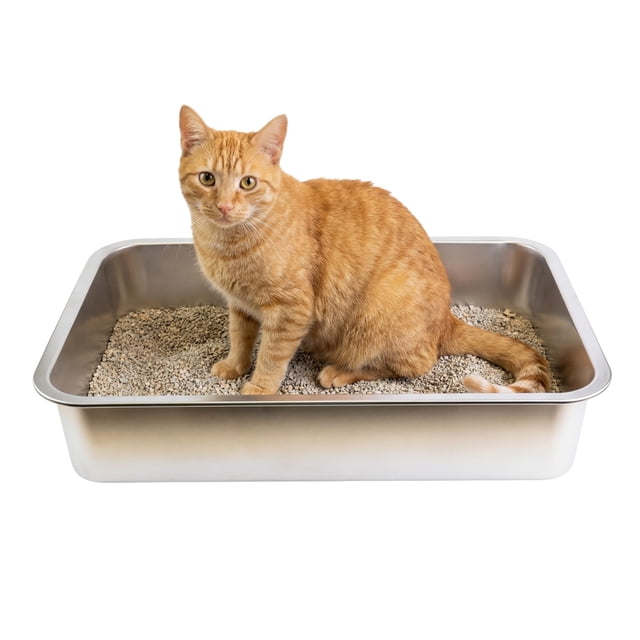 One Paw, Stainless Steel Cat Litter Box, Large, 19.5” x 13.5” x 4", 17L, for Cats