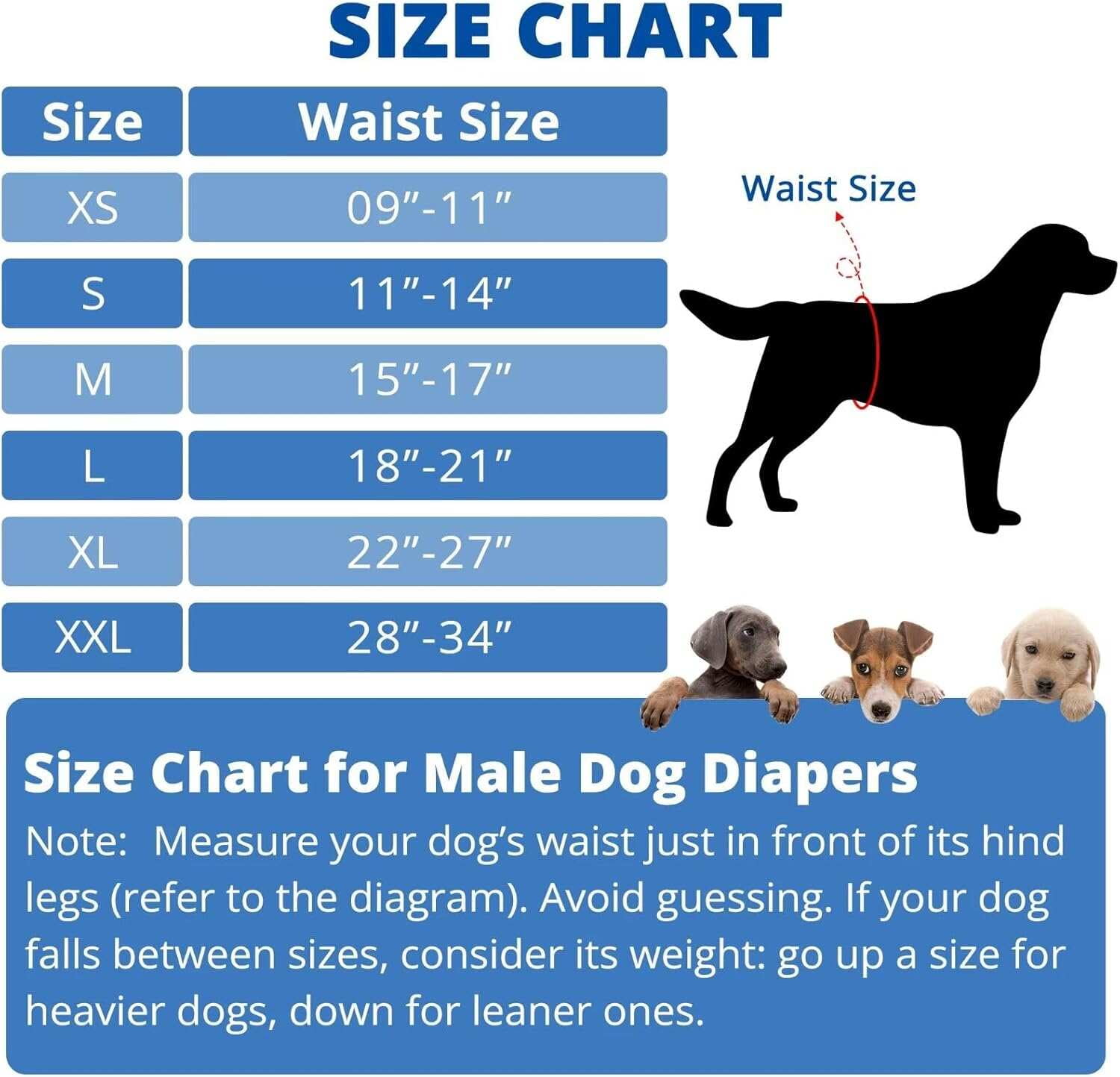 Paw Legend Washable Dog Belly Wrap Diapers for Male Dog (3 pack),Star Pattern,x-Large