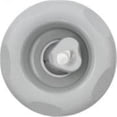 thumbnail image 1 of 2,95 Po. Face Pentair Cyclone Micro Émeraude Coupe Jet Tourbillon Interne, - Gris Foncé, 1 of 1