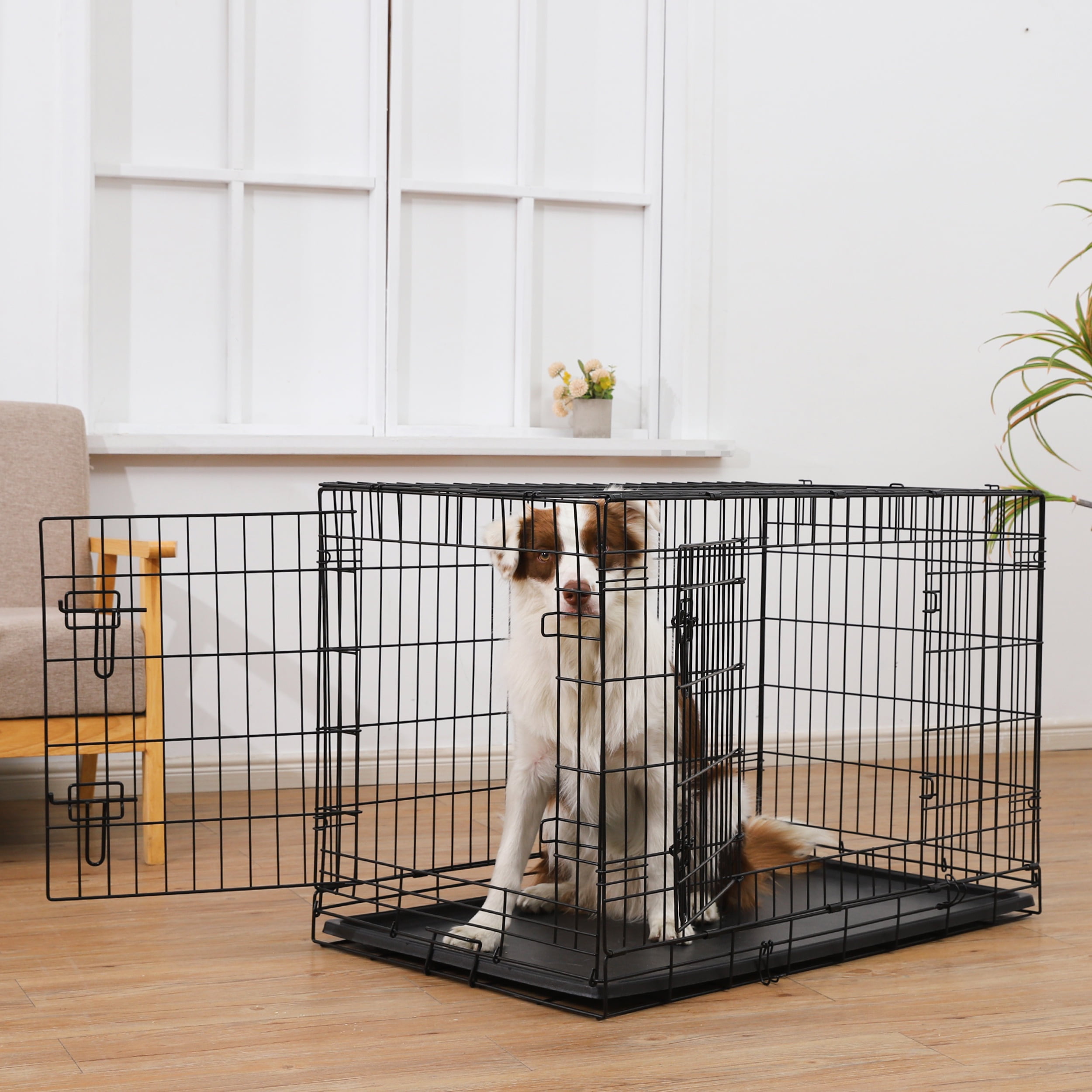 Max & Marlow Double-Door Dog Crate, Foldable Metal Wire Kennel, Portable, Tray and Divider Included, 24" x 17.5" x 20"
