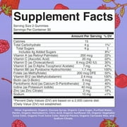 MaryRuth's Kids Multivitamin Gummies Ages 4+, Immune Overall Health, USDA Organic Vegan Gluten-Free, Mixed Berry and Cherry Flavor, 60 Count