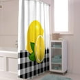 thumbnail image 3 of Yellow Lemon Summer Shower Curtain, Black White Plaid Shower Curtain Set with Hooks, Spring Summer Waterproof Fabric Shower Curtains for Bathroom Decor, 36x72 Inch Bath Curtain, 3 of 6