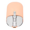 thumbnail image 1 of Souris Rechargeable, Transmission 2.4 GHz, 3 DPI Réglables, Récepteur USB, Design Silencieux, Batterie 500mAh, Taille Portable, Adaptée pour PC Ordinateur Portable Tablette Téléphone, Win OS X Ordinateur Portable IOS, 1 of 7