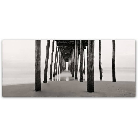 Trademark Fine Art "Under the Pier" Canvas Art by Gregory O'Hanlon