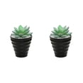 thumbnail image 3 of Bonsái artificial Monstrate con macetas miniplantas de PVC suculentas para interiores y exteriores, 3 of 6