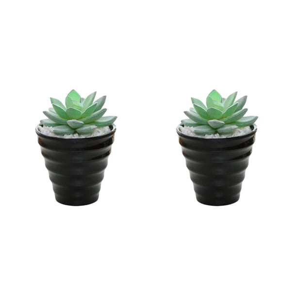 Injueey Bonsái Artificial paisaje interior simulación decorativa suculenta miniatura Mini plantas adornos de arreglo de escritorio Type1 NO1