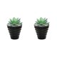thumbnail image 1 of Injueey Bonsái Artificial paisaje interior simulación decorativa suculenta miniatura Mini plantas adornos de arreglo de escritorio Type1 NO1, 1 of 6