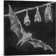 thumbnail image 1 of ARTCANVAS Bat Chiroptera Flying Hanging Black White Canvas Art Print - Size: 26" x 26" (0.75" Deep), 1 of 9