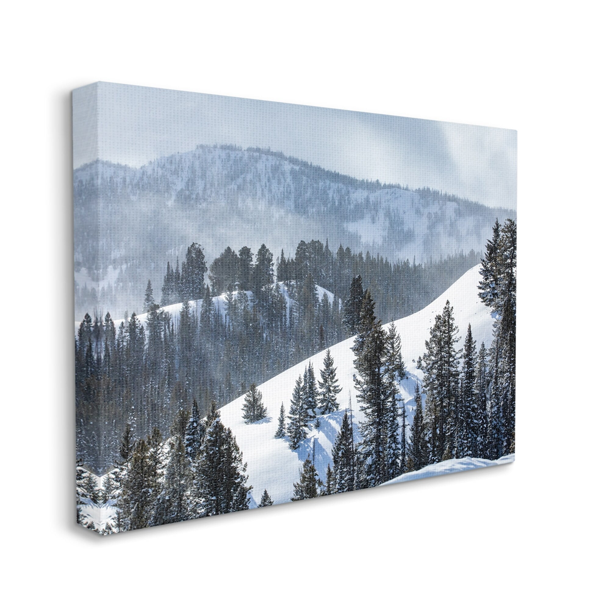 Stupell Industries Quiet Snowy Mountain Slopes Scattered Fir Trees Photograph Gallery Wrapped Canvas Print Wall Art, Design by Steve Smith
