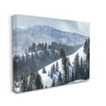 thumbnail image 3 of Stupell Industries Quiet Snowy Mountain Slopes Scattered Fir Trees Photograph Gallery Wrapped Canvas Print Wall Art, Design by Steve Smith, 3 of 5