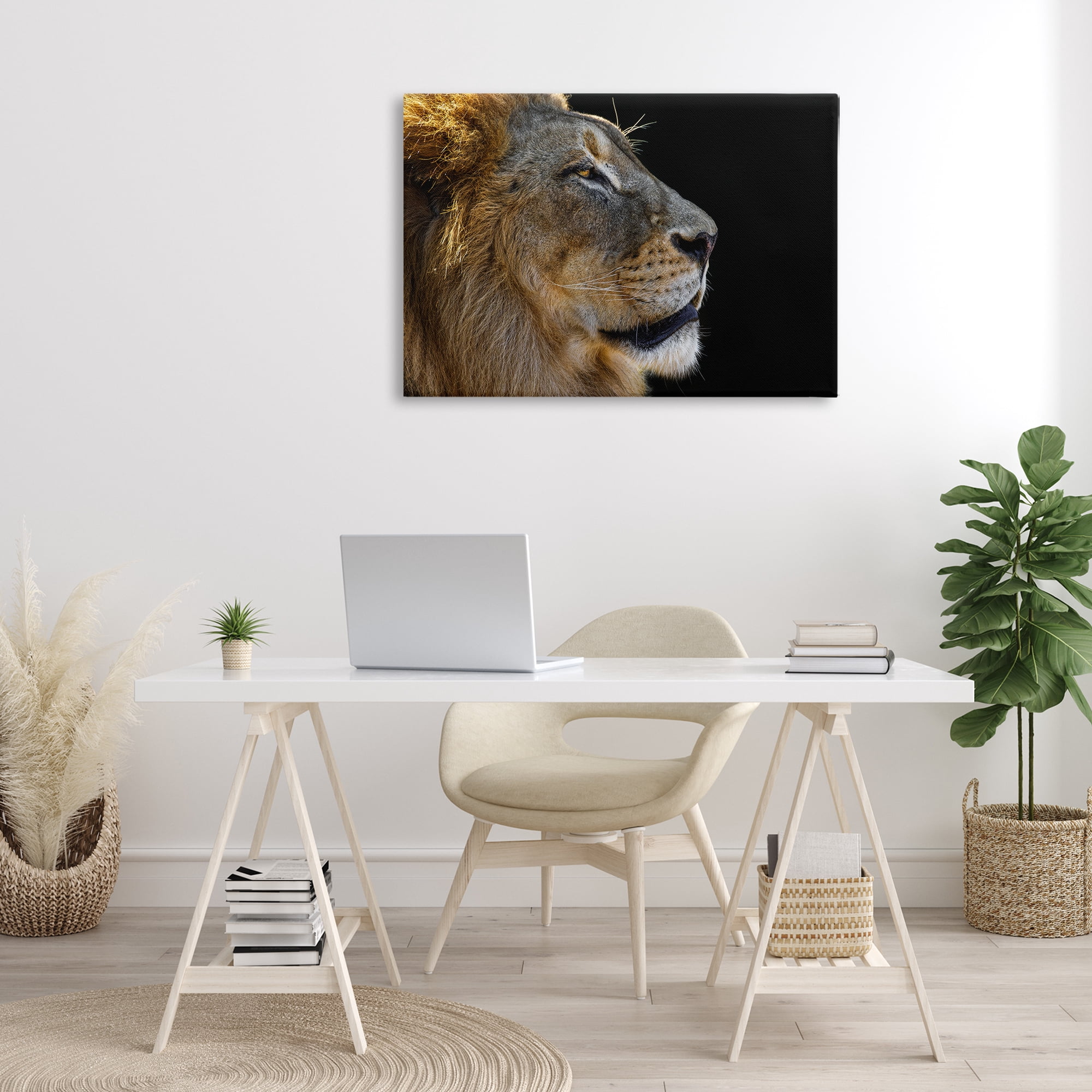 Stupell Industries Fierce Lion Looking Right Animals Photography Wrapped Canvas Art Print Wall Art, 36 x 24