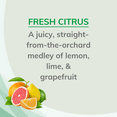 Citrus Magic Natural Odor Eliminating Air Freshener Spray, Fresh Citrus