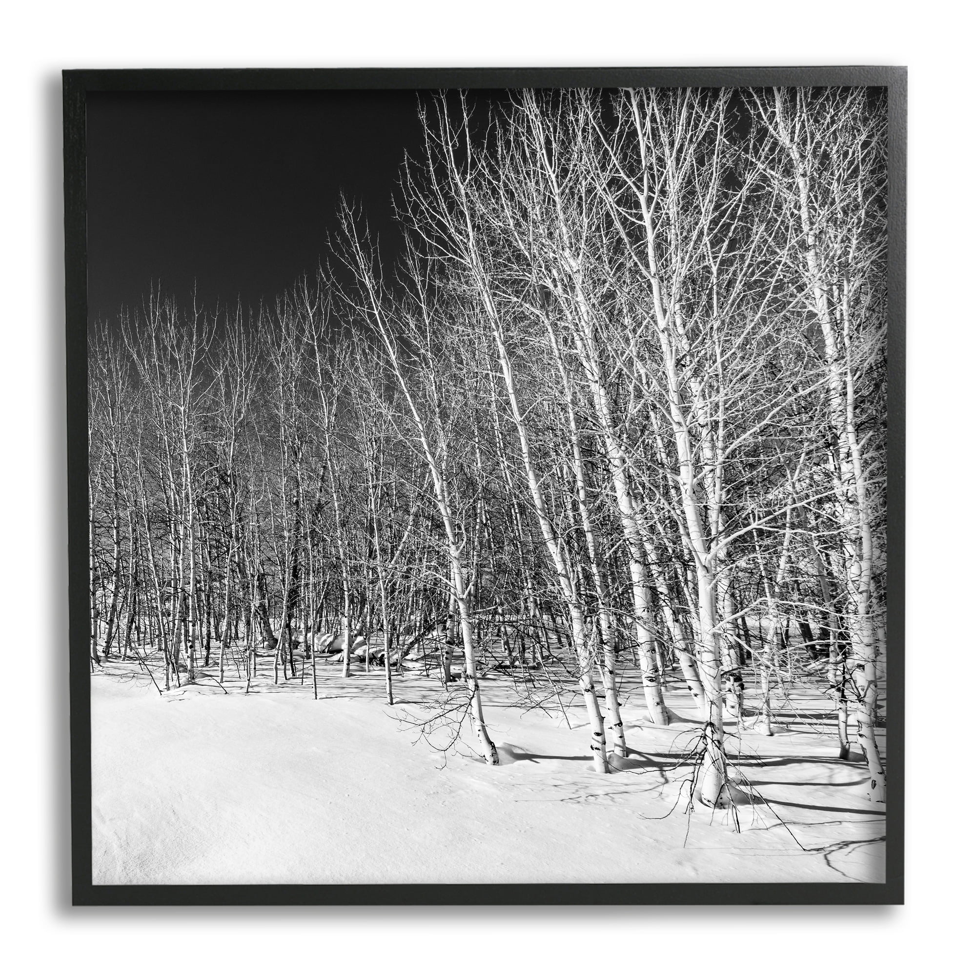 Stupell Industries Mysterious Snowy Forest Looming Nighttime Birch Trees Photograph Black Framed Art Print Wall Art, Design by Steve Smith