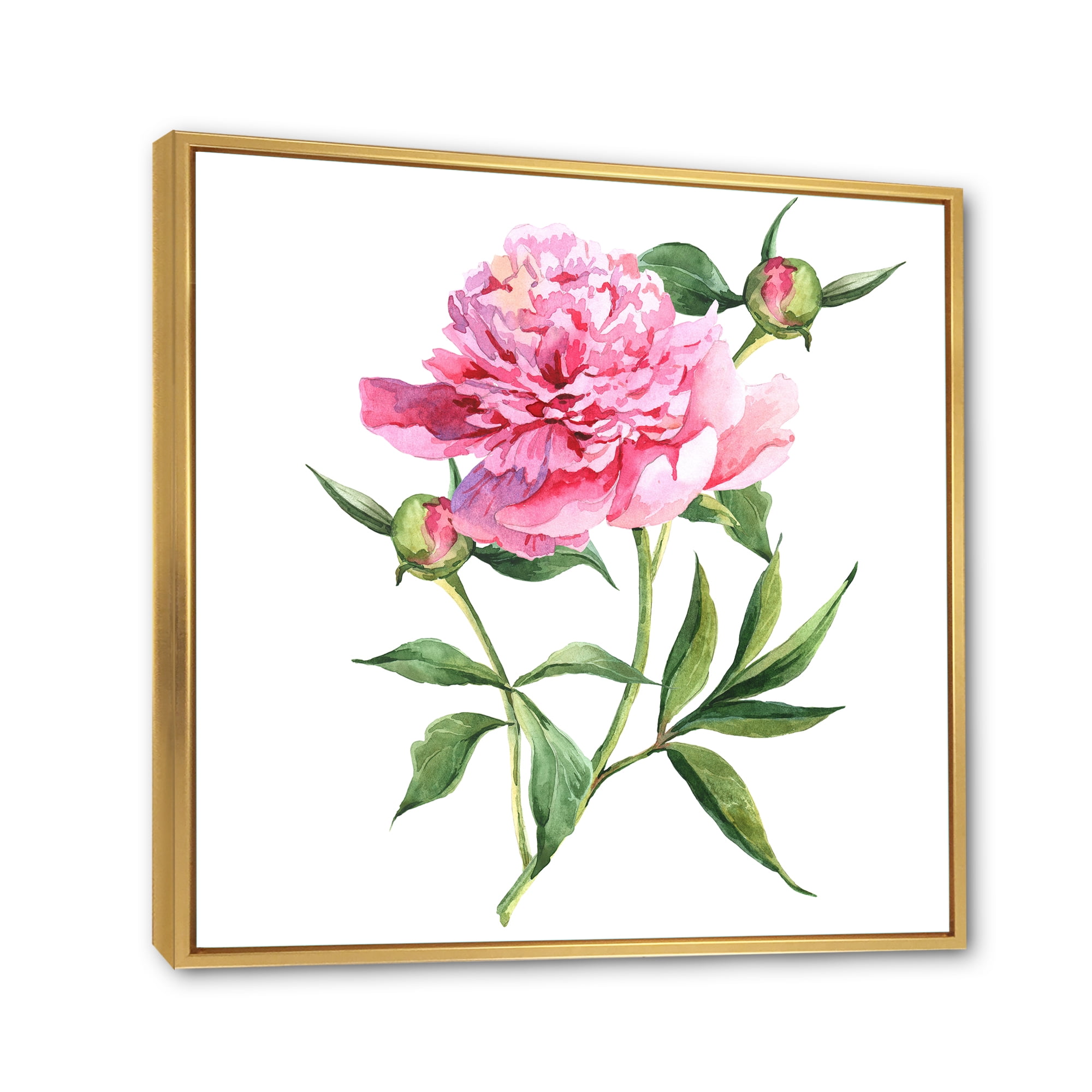 Designart 'Ancient Pink Peonies' Traditional Framed Canvas Wall Art Print