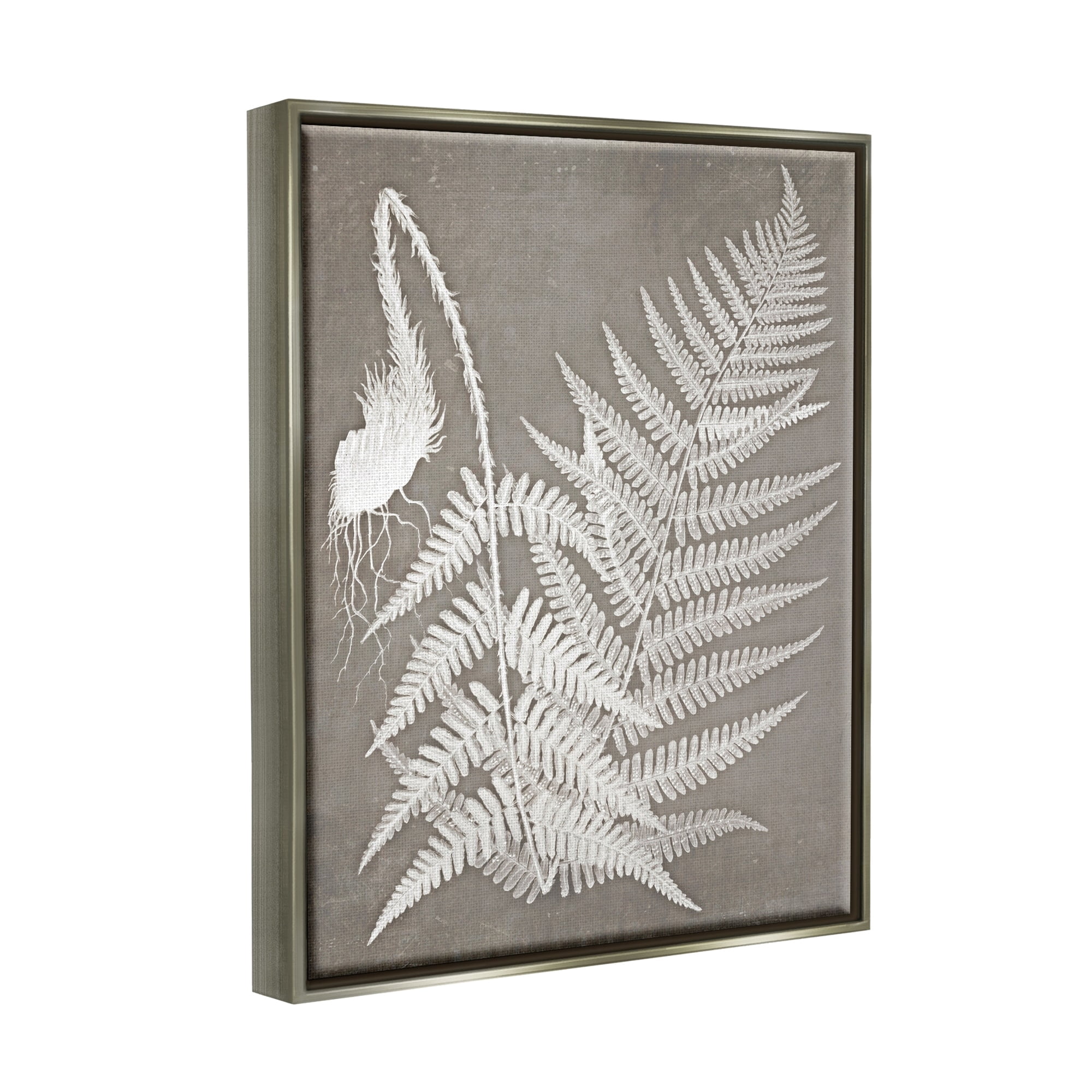 Stupell Industries Layered Botanicals Fern Leaves Nature Vegetation Graphic Art Luster Gray Floating Framed Canvas Print Wall Art, Design by Graffitee Studios
