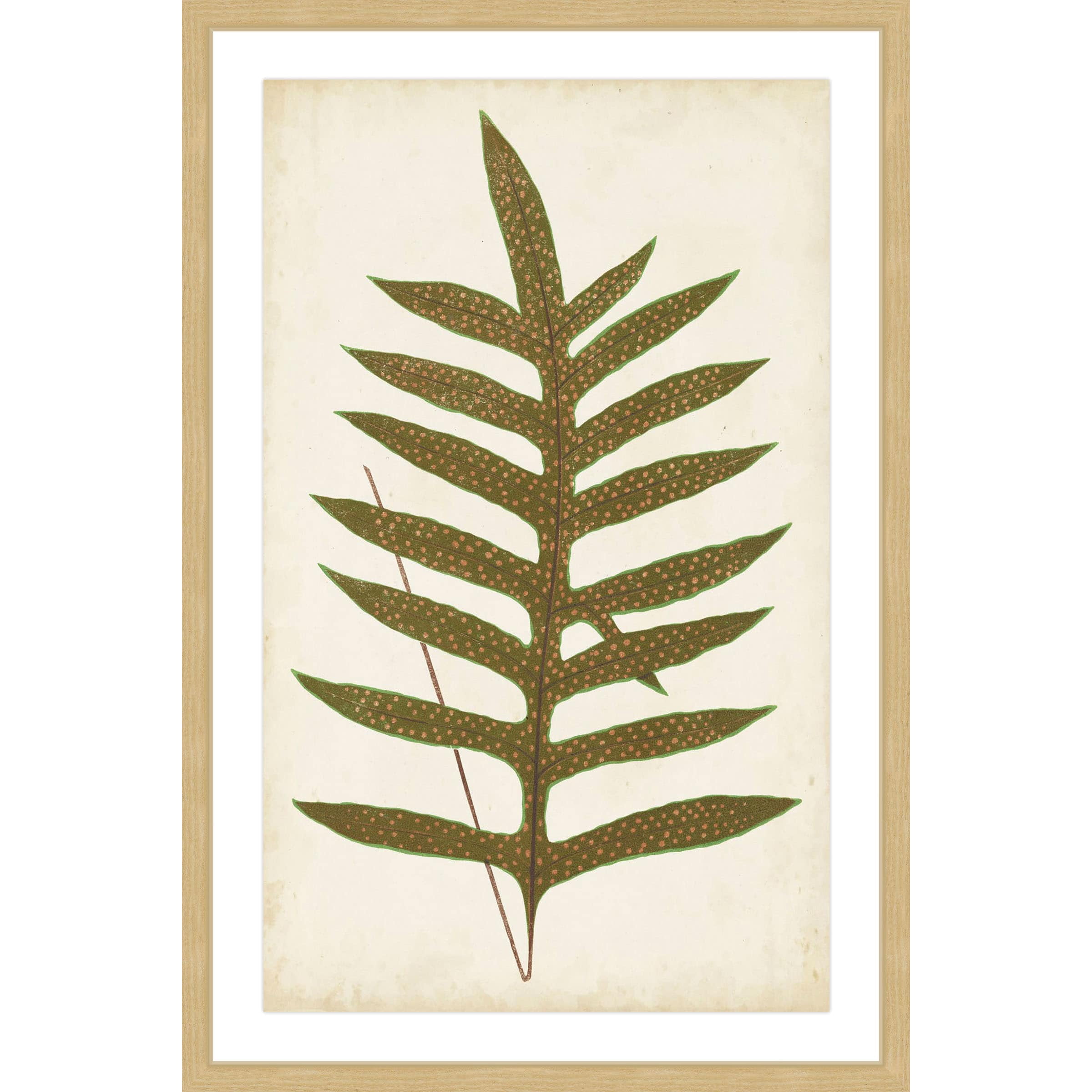 Marmont Hill "Fern Family VIII" Framed Painting Print