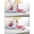 thumbnail image 5 of Camisa Sphynx para gatos sin pelo, suéter de gatito con mangas, ropa de gato transpirable de cuello alto, lindo chaleco de pijama de gato sin pelo para todas las estaciones (XS) oso de fresa Electrónica, 5 of 5
