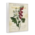thumbnail image 2 of Stupell Industries Traditional Flower over Aged French Page White Framed Giclee Art, 16 x 20, by Susan Arnot, 2 of 7