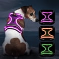 thumbnail image 1 of Chaleco de perro iluminado Vizbrite LED recargable para perros, 1 of 6