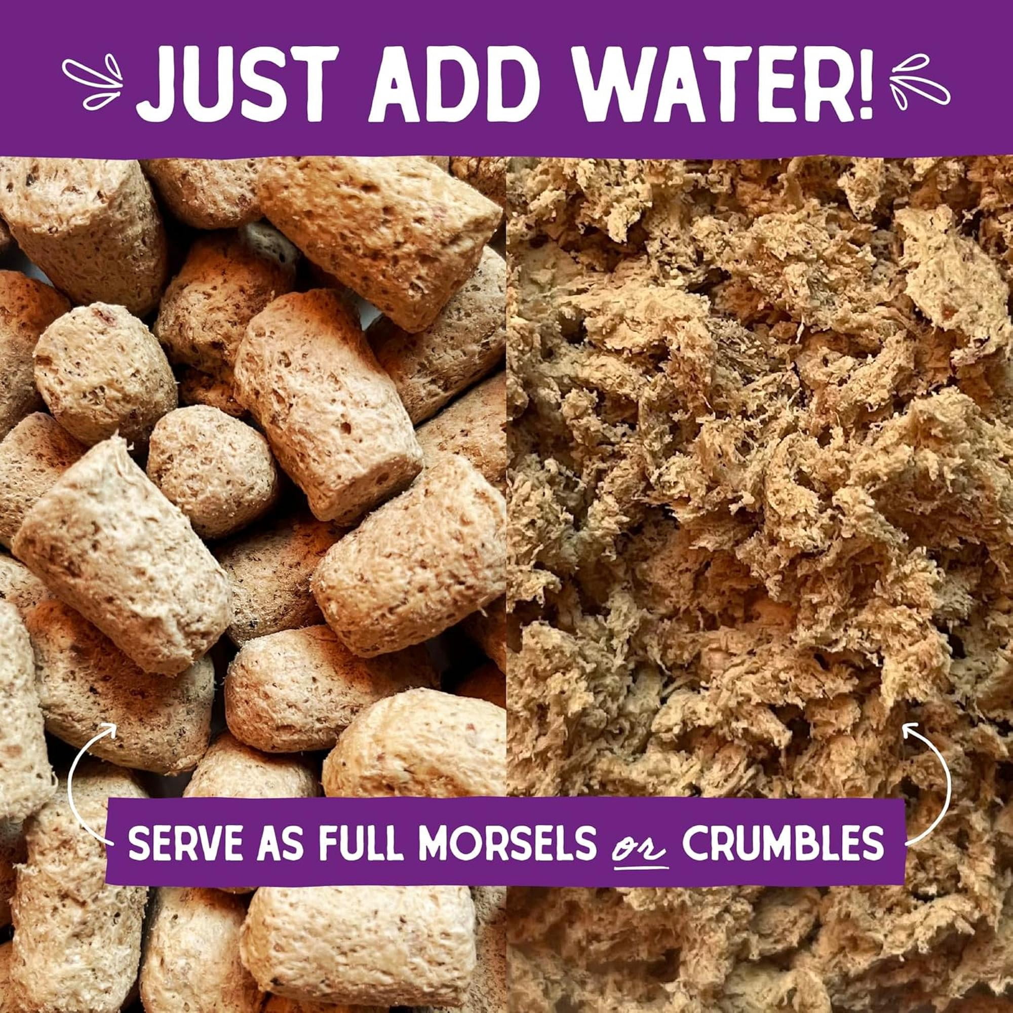 Stella & Chewy's Freeze-Dried Morsels for Cats - Yummy Lickin' Salmon & Chicken - 1 Ounce Bag
