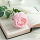 thumbnail image 1 of Rosas artificiales de seda | 10 cabezas por tallo | Tela realista para decoración del hogar, bodas, fiestas y regalos | Blanco, rosa, rojo, rosa fuerte, 1 of 6