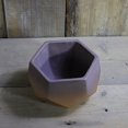 thumbnail image 4 of Coofit Flower Pot Creative Simple Desktop Plant Pot Planter Pot Succulent Pot for Home, 4 of 7