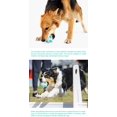 thumbnail image 5 of Interactive Dog Toy Ball - Dog Molars Cleaning Toys Suitable for Small Medium and Large Dogs - 2 Pack, 5 of 5