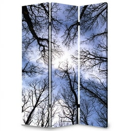48 X 72 Multi Color Wood Canvas Flourish Screen 48 X 72 Multi Color Wood Canvas Flourish Screen