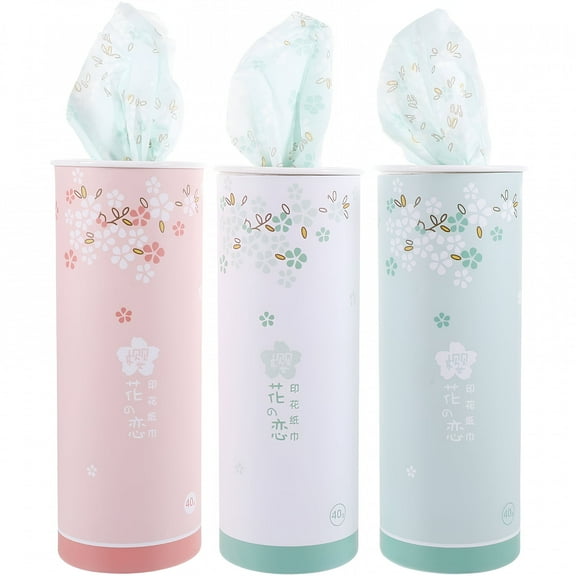 RAGUPEL Car Tissues with Lotion & Holder - 3pcs