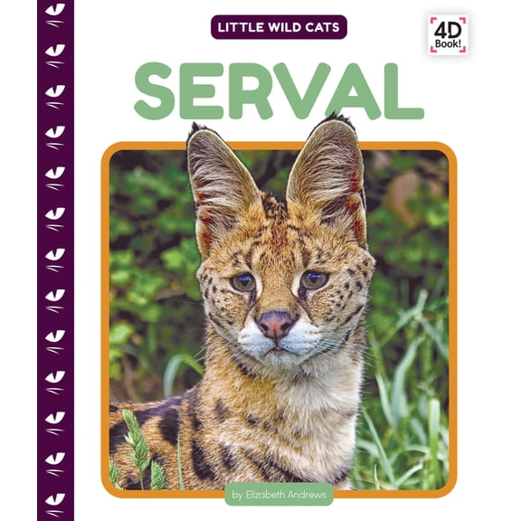 Little Wild Cats Serval, (Hardcover)