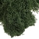 thumbnail image 5 of Musgo de reno noruego natural, eterno y preservado, flor seca para terrario, decoración de jardín de hadas Pasto verde, 5 of 7