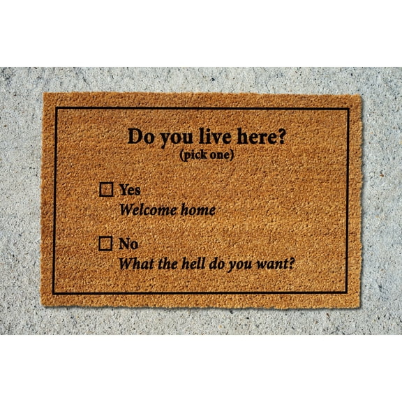 Doormat Do You Live Here? Door Mat Doormat New Home Gift Housewarming (18" x 30") #5184