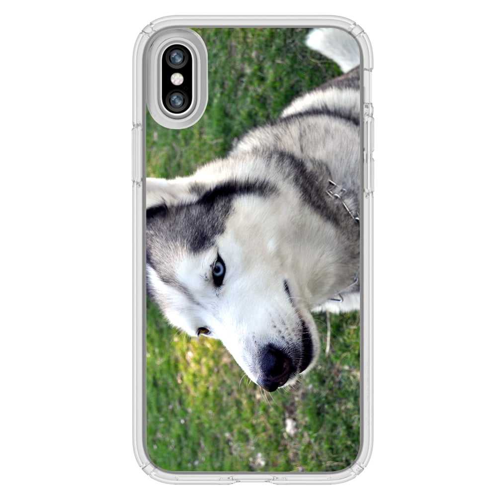 husky x kitty dropbox porn husky x kitty dropbox porn