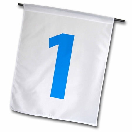 1  Happy 1st Birthday  Blue 18 x 27 inch Garden Flag fl-112245-2