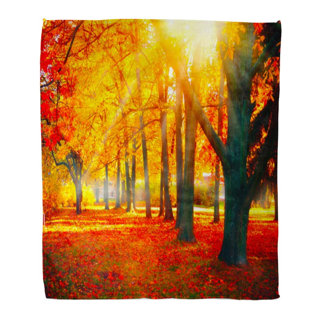 Autumnal blanket sale