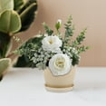 thumbnail image 3 of 2 Sets Flower Pot With Storage Tray Household Succulent Pot Plants Pot Home Decor, 3 of 9