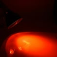 thumbnail image 3 of Heat Sunlight Lamp UVA+UVB for Amphibian Reptiles Birds Snakes, 3 of 8