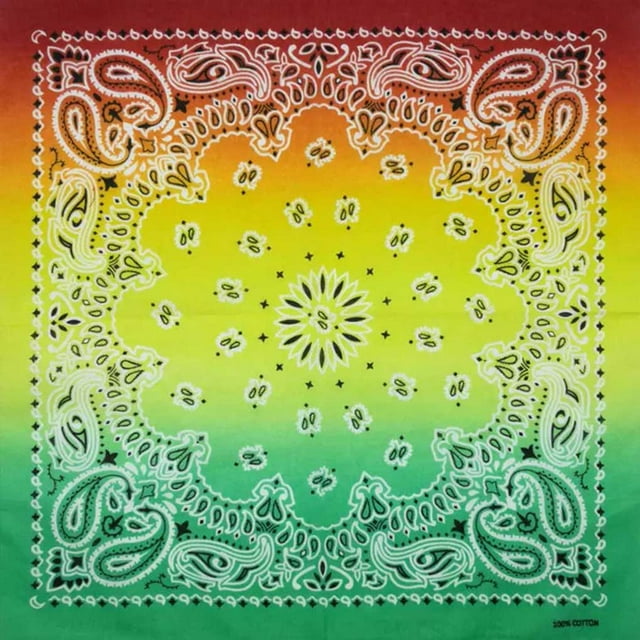 pitrice Lot de 12 Bandanas pour Femmes Bandeau Coupe-Vent Accessoires