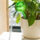 thumbnail image 5 of Globos para el cuidado de plantas, solución de riego automático con vidrio de borosilicato de alta calidad para uso en interiores y exteriores, diseño exclusivo que garantiza un riego eficiente de, 5 of 5
