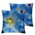 thumbnail image 2 of Nawypu Throw Pillow Cover - Morning Glory Blue Flower Nature Flower Floral,Set of 2, 2 of 6