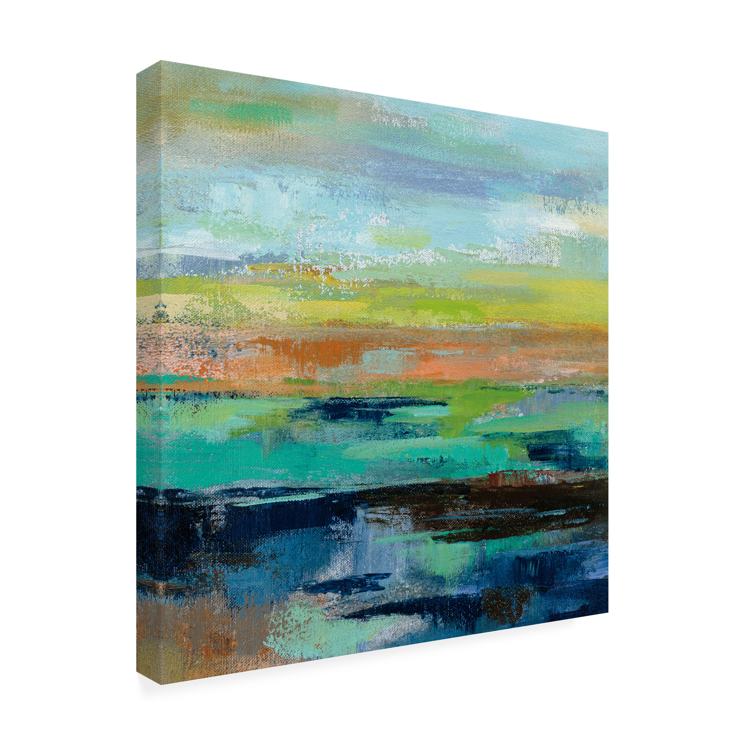Trademark Fine Art 'Delmar Sunset III' Canvas Art by Silvia Vassileva