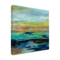 thumbnail image 4 of Trademark Fine Art 'Delmar Sunset III' Canvas Art by Silvia Vassileva, 4 of 4