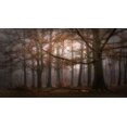 thumbnail image 2 of Dingemans, Saskia 18x12 White Modern Wood Framed Museum Art Print Titled - Foggy Memory  Of The Past, 2 of 4
