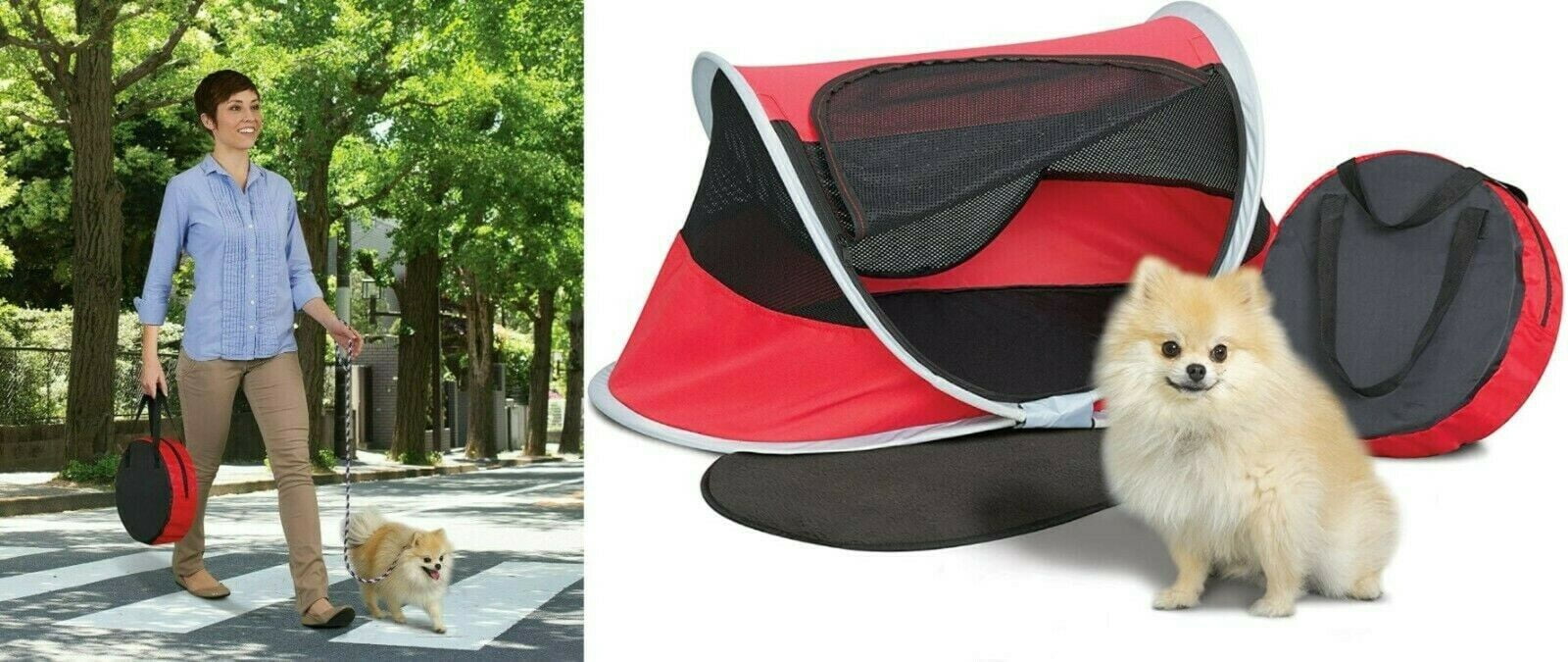 pop up dog crate walmart