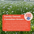 thumbnail image 4 of Premium Flaxseed Powder (NEW LOOK!) | Manitoba Flax by Manitoba Milling Co.| 1 lb. bag | 3000 mg Omega-3, Fiber, Plant Protein | Vegan, Non-GMO, Gluten Free |, 4 of 9