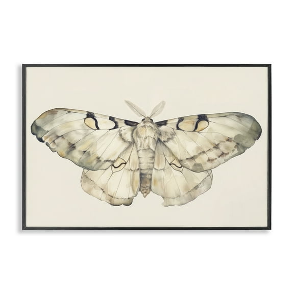 Stupell Industries Dusty Beige Moth Animals Painting Black Framed Art Print Wall Art, 18 x 12