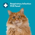 thumbnail image 2 of Respiratory Infection Check Mail-In Test for Cats (PCR), 2 of 6