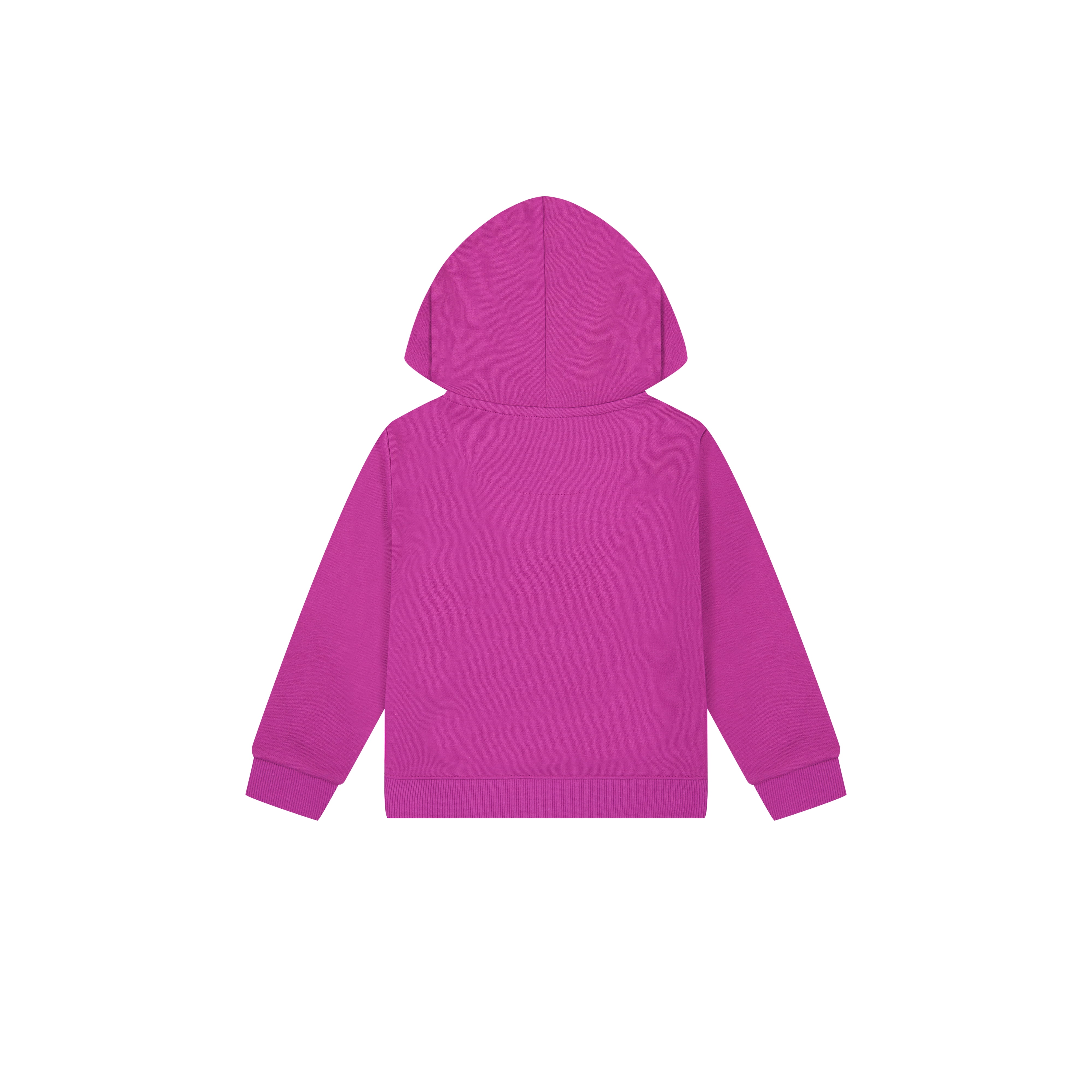 Reebok Toddler Boys Game Day Fleece Hoodie, Sizes 12M - 5T