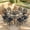 Dark Bronze/Navy Blue, variant on VIVIJASION 10-Piece Outdoor Bar Set, All Weather Cast Aluminum High Patio Dining Set with 8 Cushioned Swivel Bar Stools, Large 64" Square Patio Bar Height Table with Detachable Lazy Susan